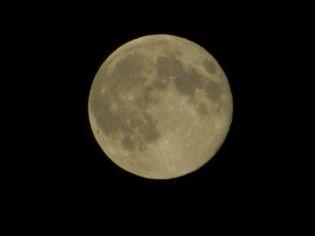 DSCN1285.jpg