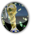 confed_cup.png