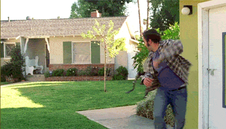 Gifs Gifs