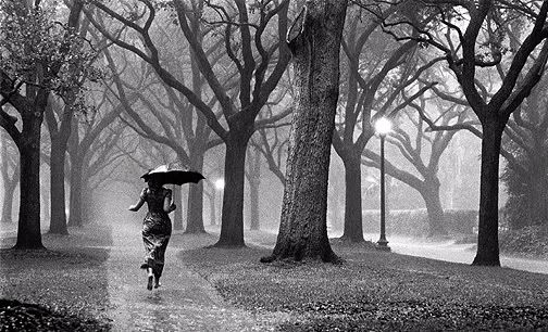 Running alone in the rain Pictures, Images and Photos