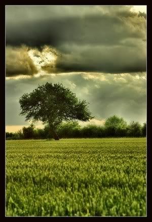 heart cloud heart cloud