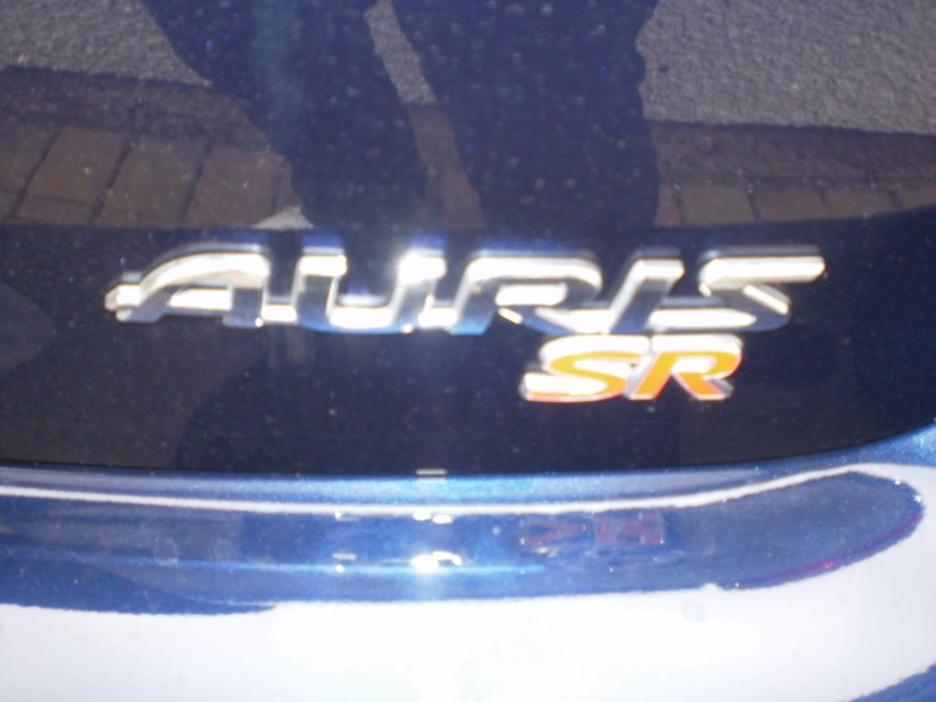 P1010004-3.jpg