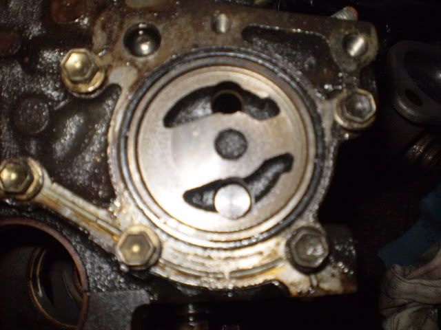P1010012.jpg