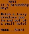 Furry Groundhog Day