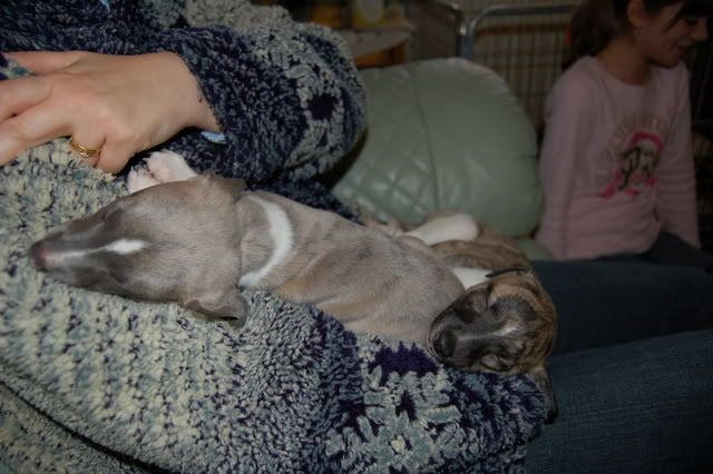 DSC_0072.jpg