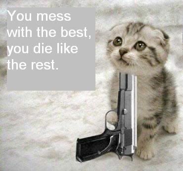 funny animals with guns. Funny animal pics