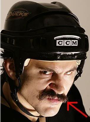 13_parros.jpg