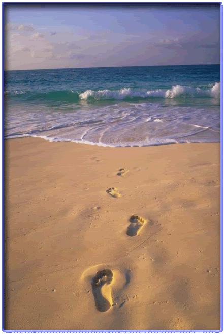 sand foot
