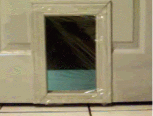 forcefield.gif