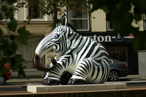 zebrafant4.jpg