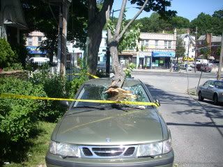 Car meets tree 2