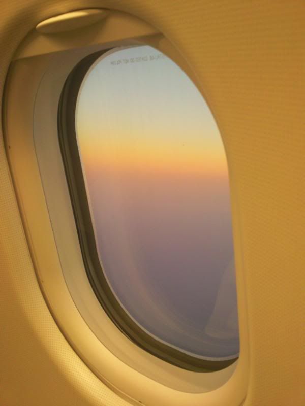 02102010057.jpg