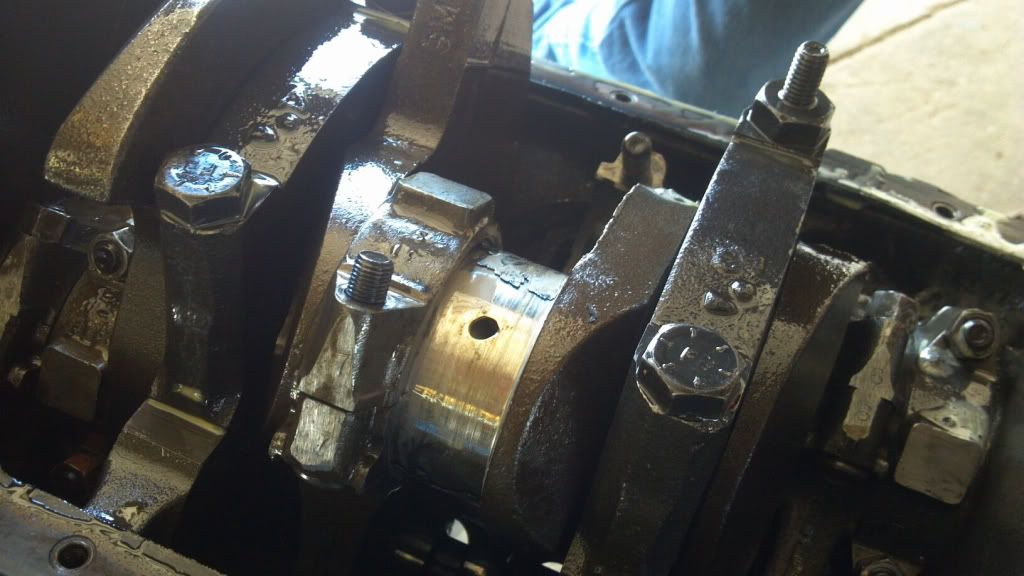 ff8e10a1.jpg