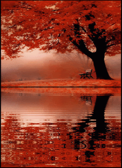 fall.gif