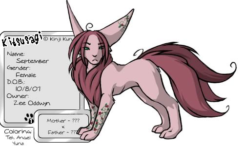 User Image