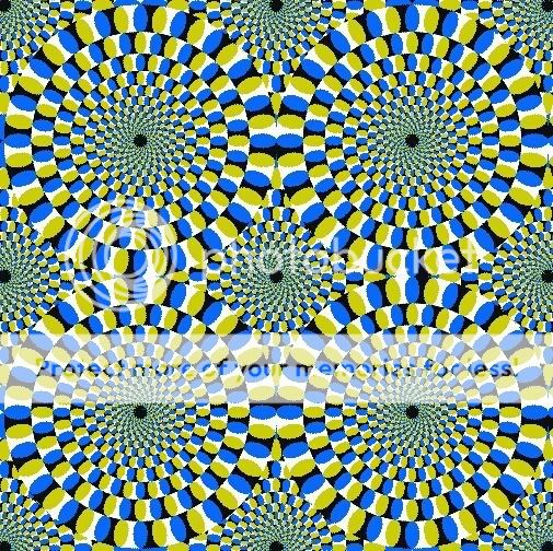 世界上不可思议的图片(24p) | 『数码贴图』 - 紫蝶书评