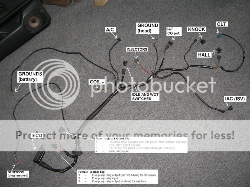 VWVortex.com - CE2 16v CIS-E to Digifant1 swap obd2 wiring harness diagram 