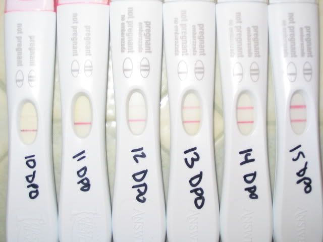 12 Dpo Hcg Dpo Hcg 239 Twins 12 Dpo Hcg Dpo Hcg 239 Twins