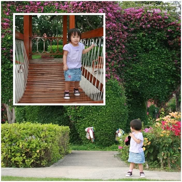 page16.jpg picture by tomdome