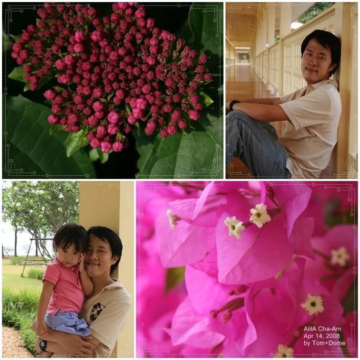 page24.jpg picture by tomdome