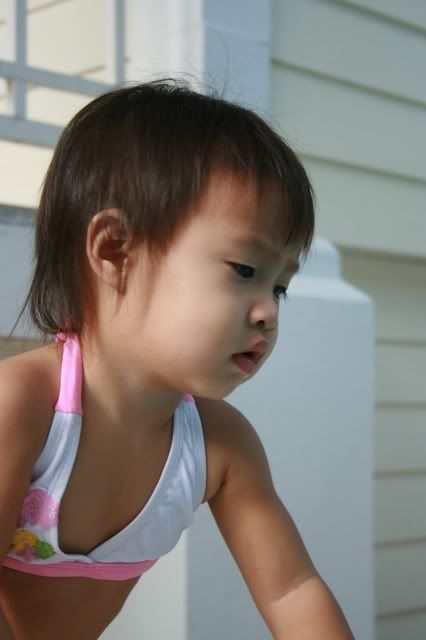 Picture139-1.jpg