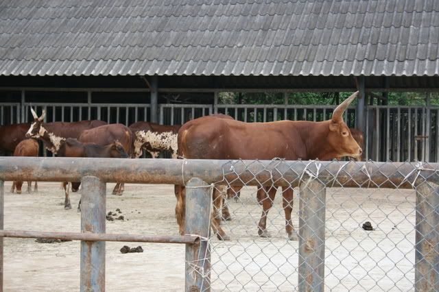 v11052.jpg picture by tomdome