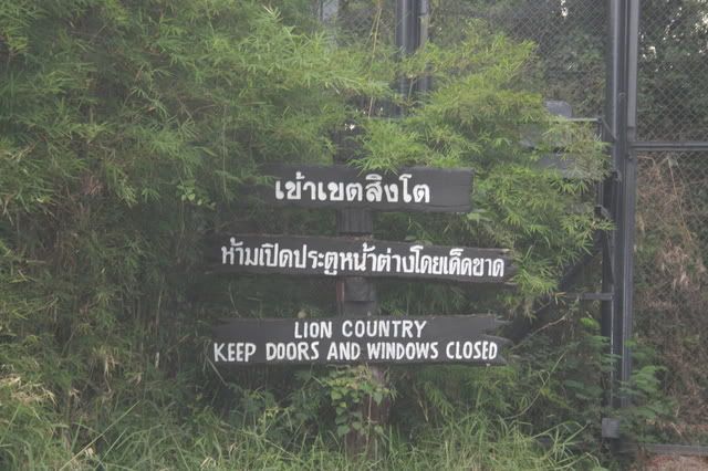 v11061.jpg picture by tomdome