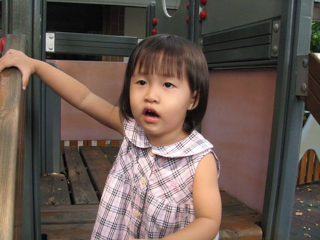 v1702.jpg picture by tomdome