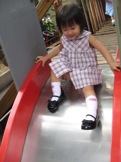 v1704.jpg picture by tomdome