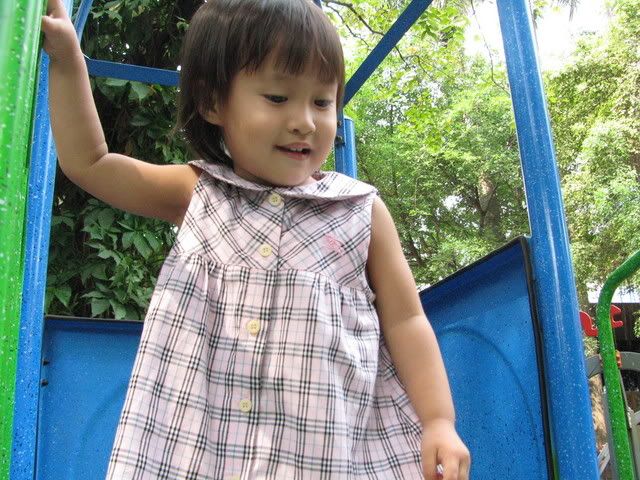 v1706.jpg picture by tomdome