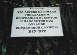 06belgor