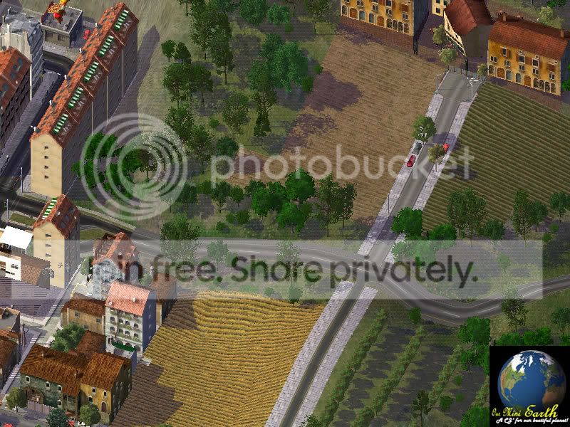 tg29.jpg