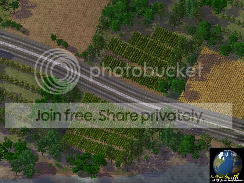tg33.jpg