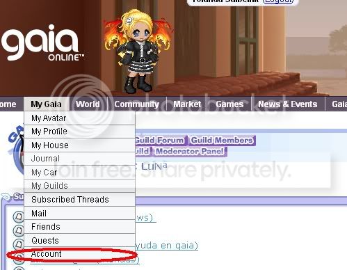 User Image